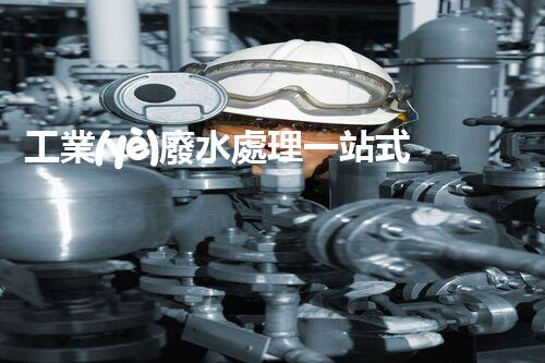 工業(yè)廢水處理一站式服務(wù)商：是機遇還是挑戰(zhàn)？